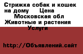 Стрижка собак и кошек на дому.  › Цена ­ 1 300 - Московская обл. Животные и растения » Услуги   